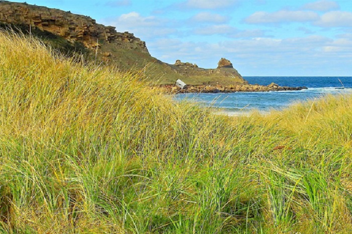 chimney corner beach 1.jpg